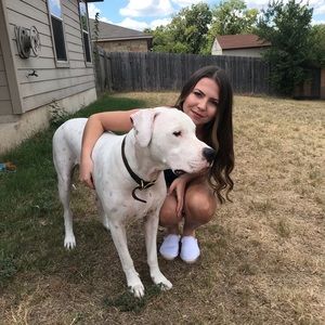 Meet your Posher, Taylor